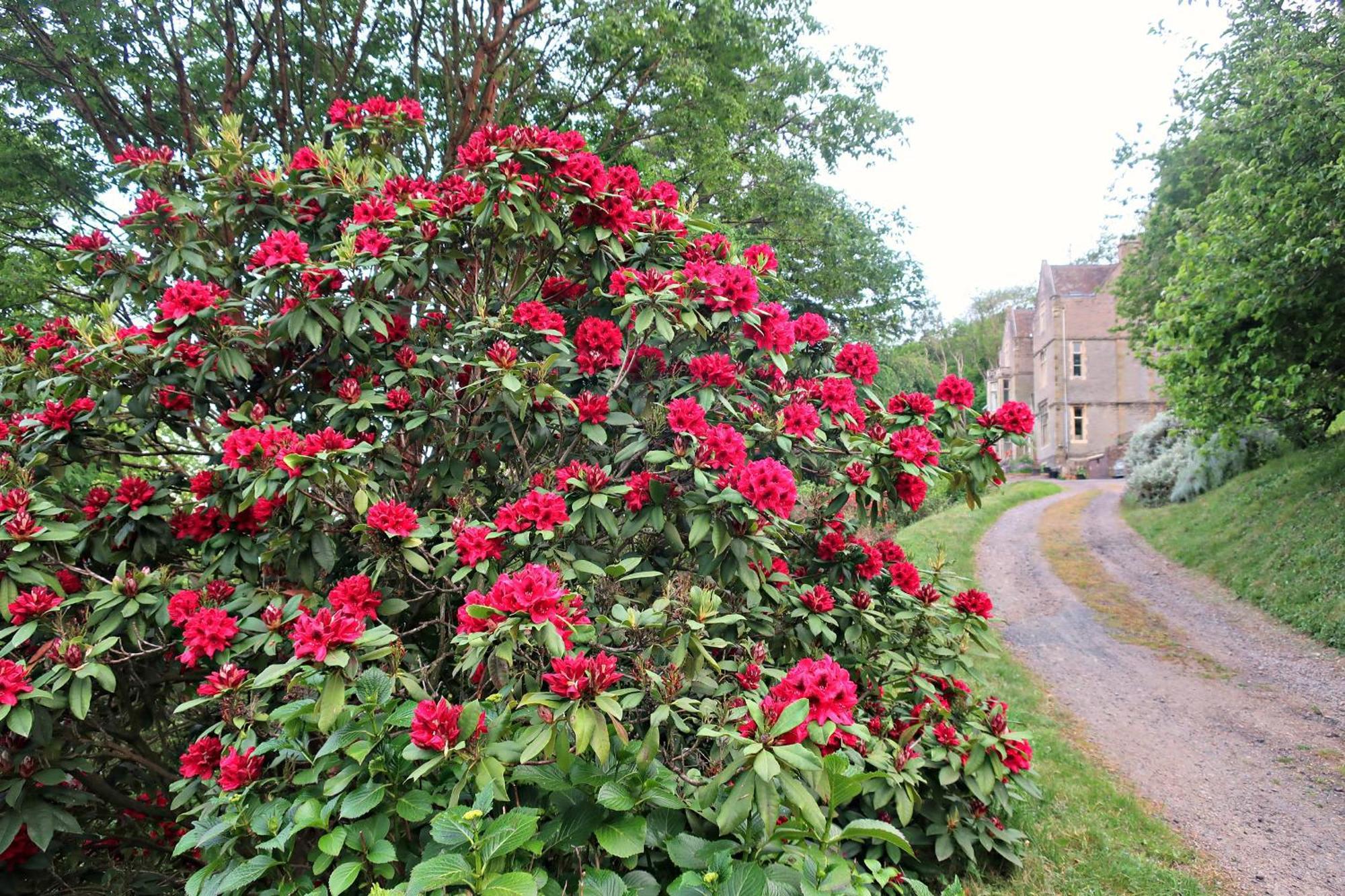 Haslington House Lejlighed Malvern Wells Eksteriør billede